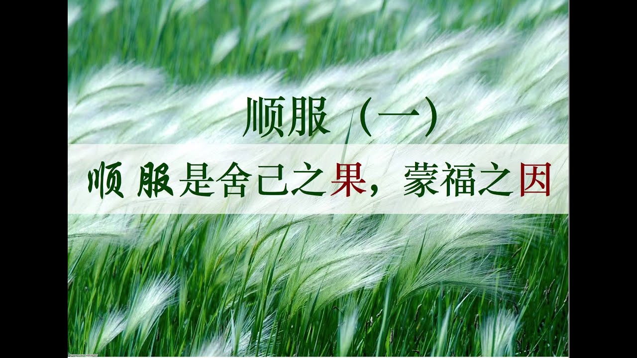 顺服（一）顺服是舍己之果，蒙福之因 – 悉尼基督生命堂