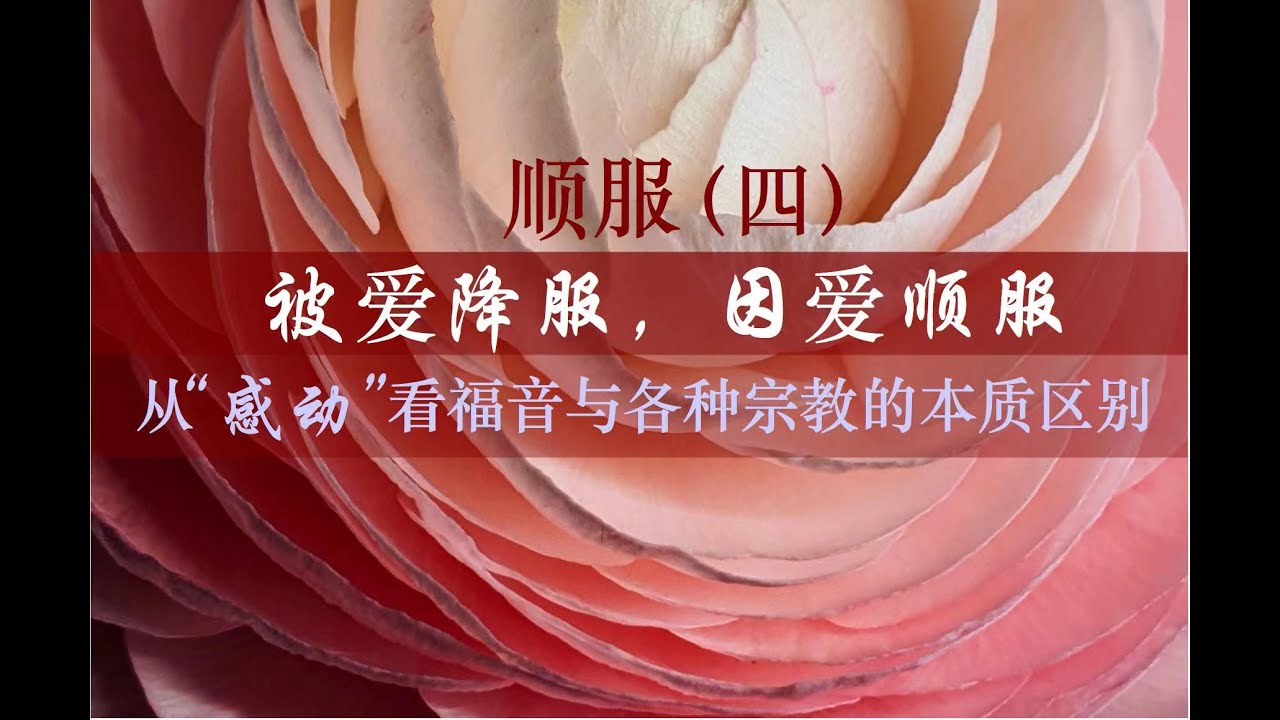 顺服（四）被爱降服，因爱顺服 – 从“感动”看福音与各种宗教的本质区别 – 悉尼基督生命堂